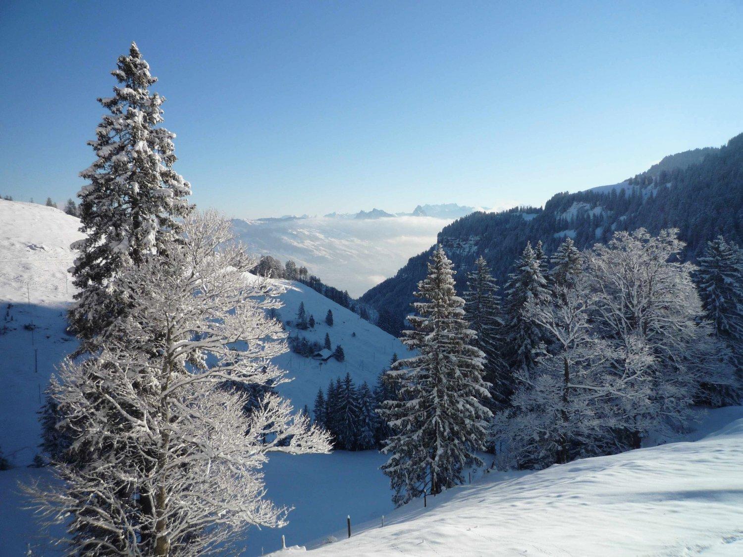 Hotel Rigi Kloesterli Rigi Kaltbad Esterno foto